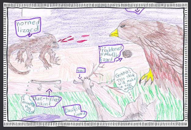 Student artwork depicts what they learned about the defense mechanisms of different animals